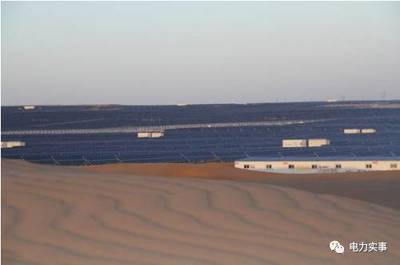 世界最大太陽能電站并非死亡禁區，風能發電同樣面臨生態挑戰