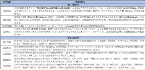 2021年藥用膠塞項目投資分析報告 實業投資視角下的機遇與風險評估